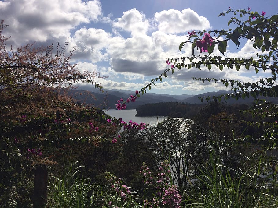clouds, mountains, lake, flowers, view, valley, plant, cloud - sky HD wallpaper