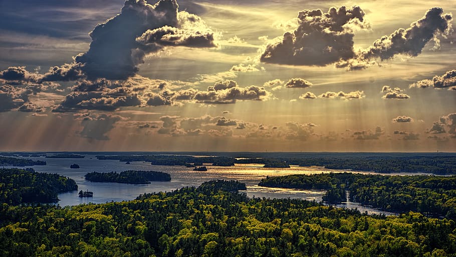 Aerial Photo Of Forest Beside Body Of Water, clouds, dawn, sky HD wallpaper