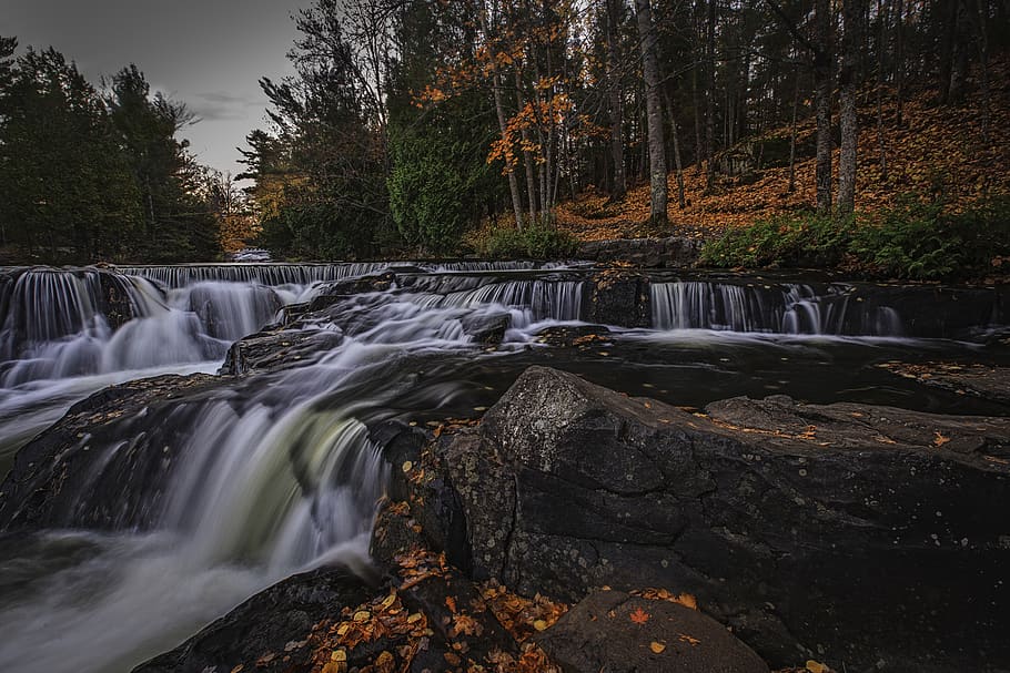 flowing river in forest, tree, plant, flowing water, long exposure HD wallpaper