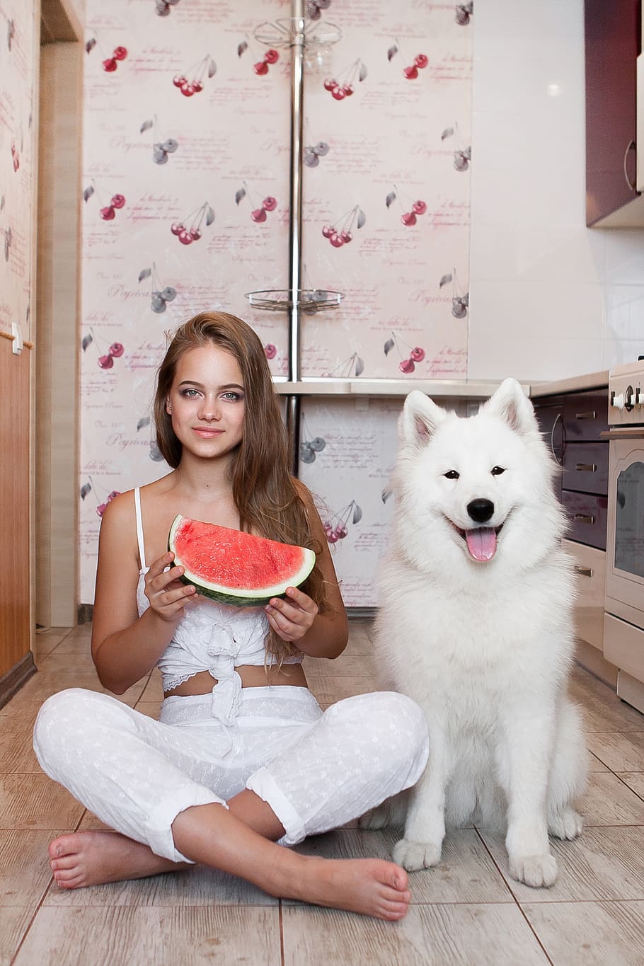 girl, dog, kitchen, summer, entertainment, watermelon, sweet HD wallpaper