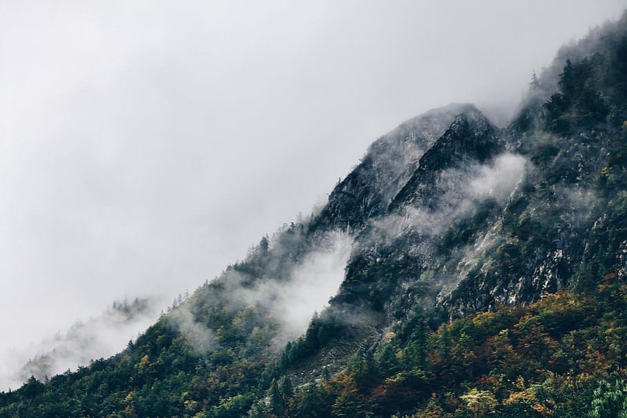 green cloudy mountain, winter, slovenia, morning, fog, nature HD wallpaper