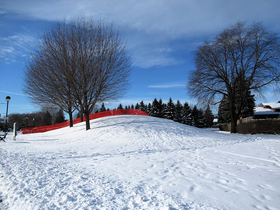 snow, cold temperature, winter, tree, sky, bare tree, nature HD wallpaper