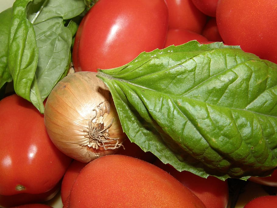 vegetables, nature, colors, food and drink, healthy eating HD wallpaper