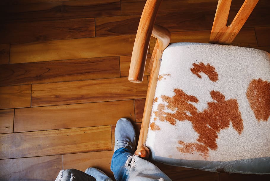 chairs, table, skin, cow, shoes, nike, stand, brown, one person HD wallpaper