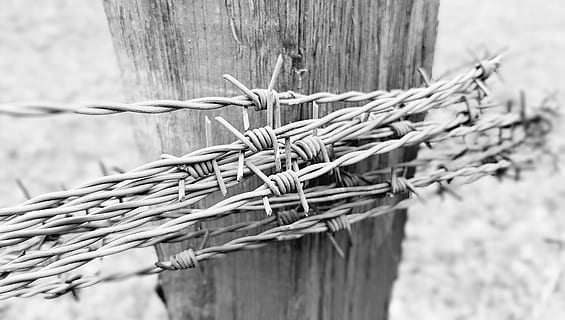 barbed wire, fence, security, limit, barrier, pointed, close up HD wallpaper