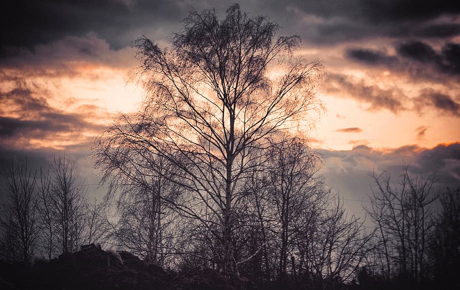 sky, west, clouds, the sun, light, colors of the sky, nature HD wallpaper