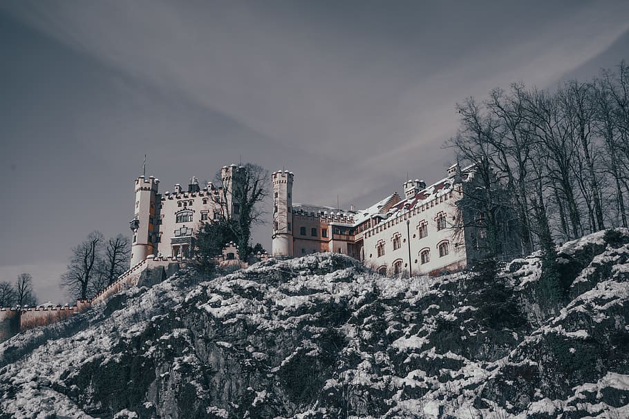 View of White Castle, ancient, architecture, bare tree, building HD wallpaper