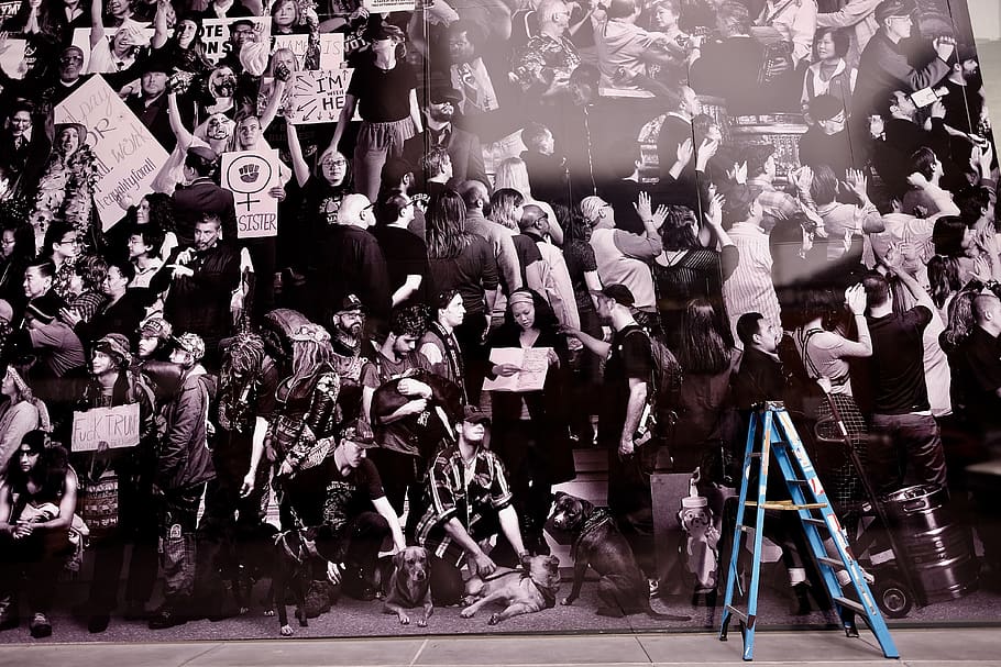 human, person, crowd, audience, dog, mammal, animal, pet, canine HD wallpaper