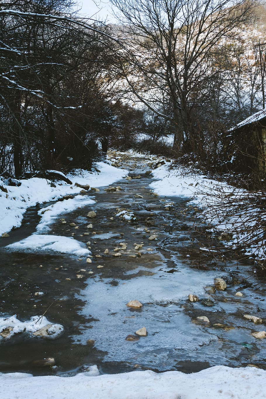 quba, winter, white, snow, river, travel, photography, forest HD wallpaper