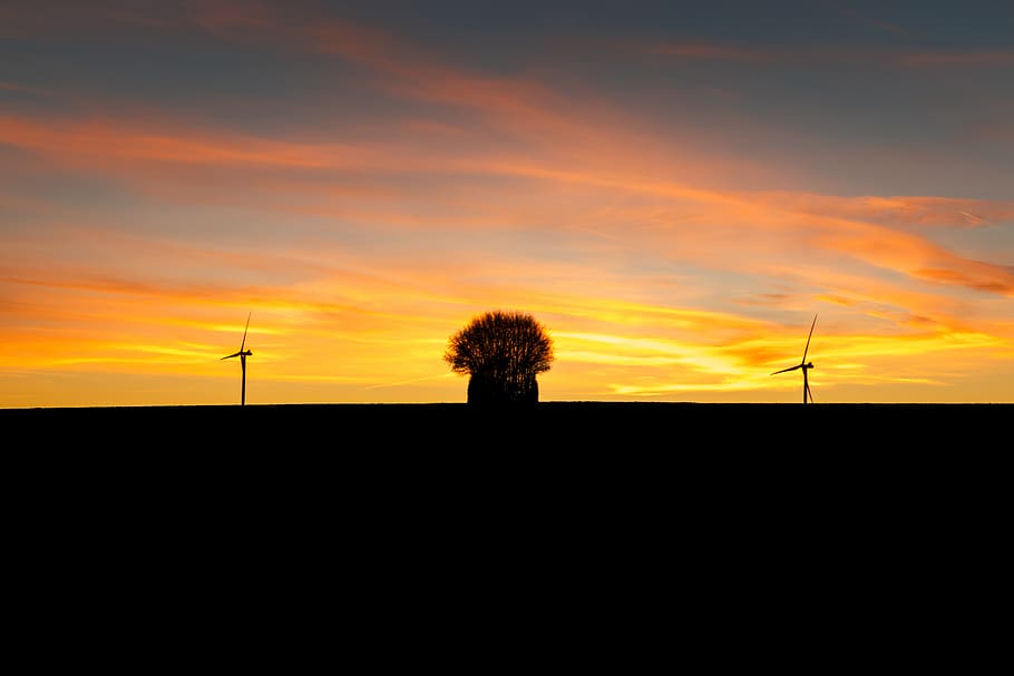 sunset, field, windmills, technology, tree, bush, nature, sky HD wallpaper