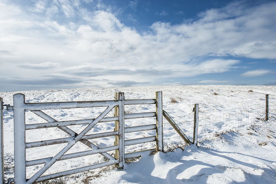 white wooden fence, snow, gate, cloud, bluesky, sunshine, winter HD wallpaper