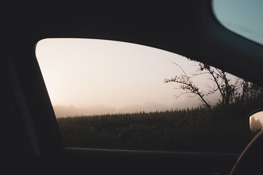 germany, flensburg, view, drive, morning, shoot, fog, cool HD wallpaper