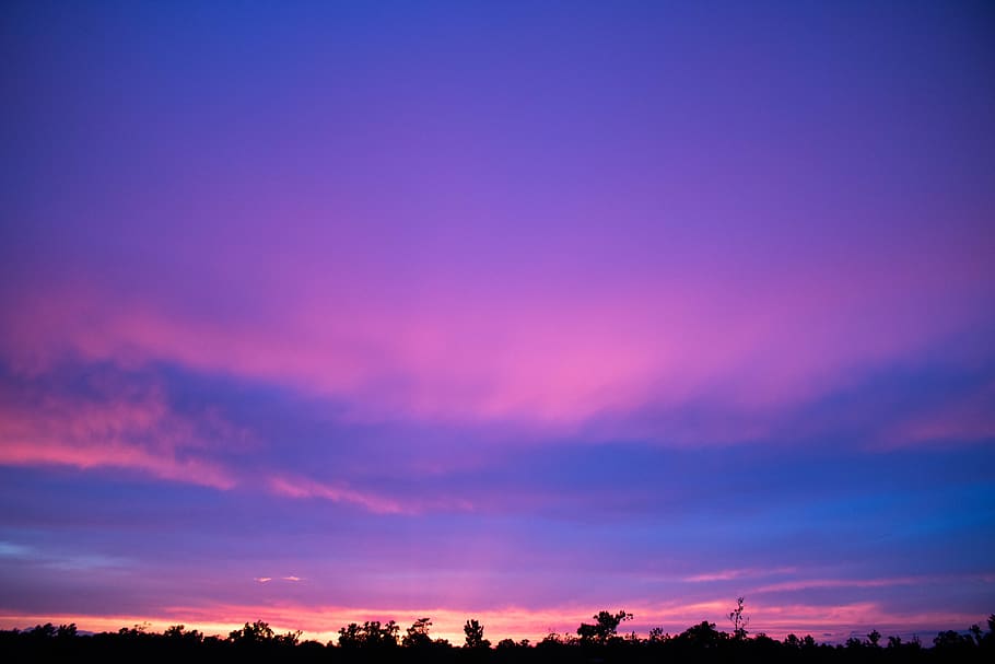 sky, clouds, sunset, trees, horizon, cloud - sky, scenics - nature HD wallpaper