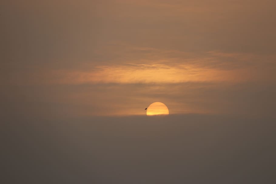 landscape photography of sunset, cloudy, fog, haze, bird, sky HD wallpaper