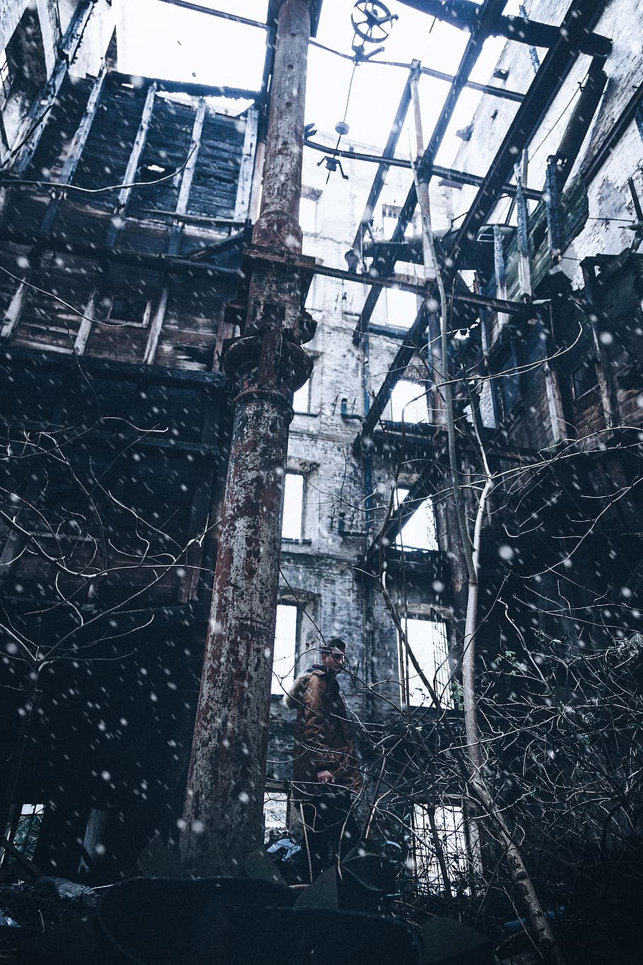 brown no leaf plant, architecture, built structure, damaged, abandoned HD wallpaper