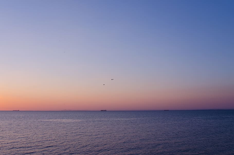 gradient, colour, birds, ship, boat, ocean, sea, water, sky HD wallpaper