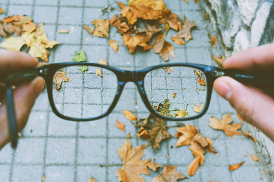 person holding black-framed eyeglasses, view, len, hand, autumn HD wallpaper
