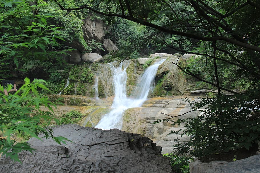 falls, mountain, brooks, tree, plant, waterfall, forest, motion HD wallpaper