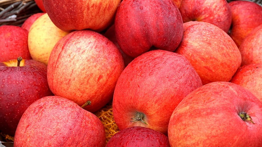 apple, red, ripe, fruit, vitamins, harvest, autumn, food and drink HD wallpaper