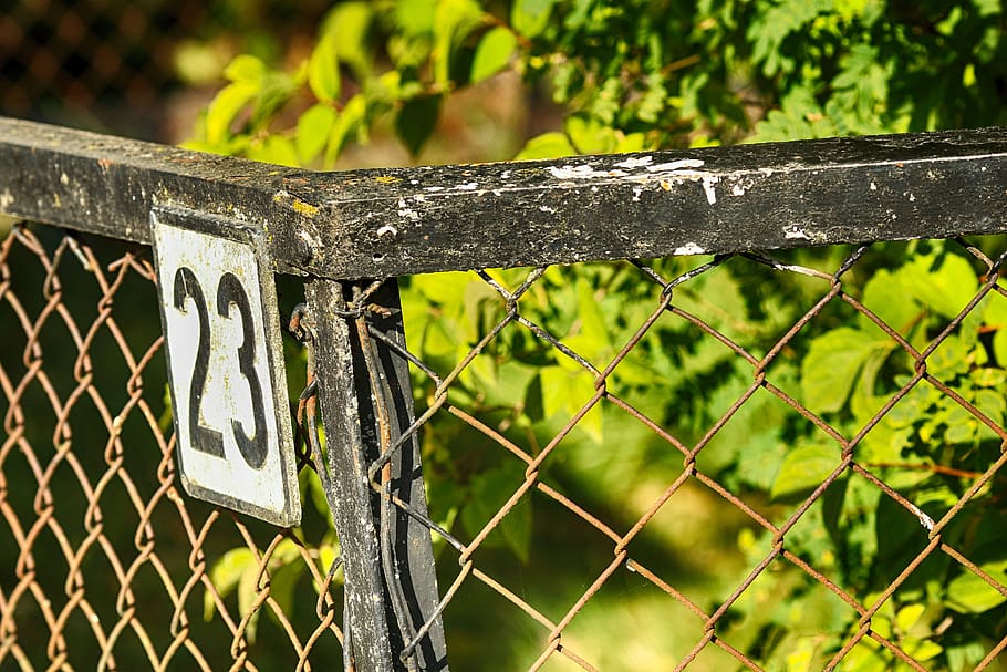 fence, nature, garden, tree, security, safety, protection, focus on foreground HD wallpaper