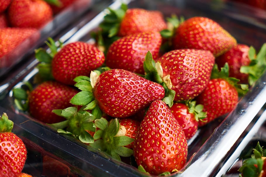 Selective Focus Photography of Strawberries, blur, close-up, container HD wallpaper