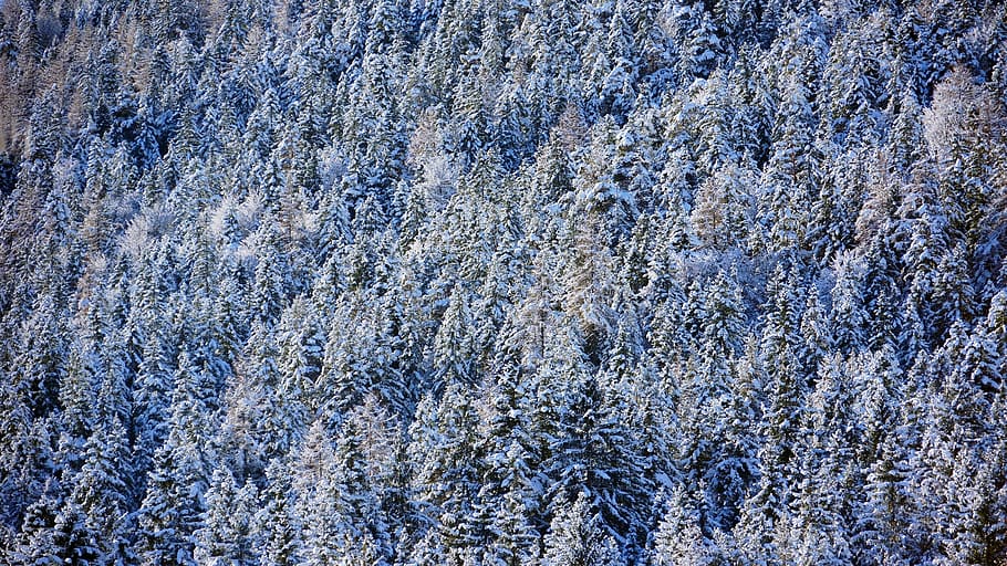 austria, seefeld, full frame, winter, backgrounds, snow, cold temperature HD wallpaper