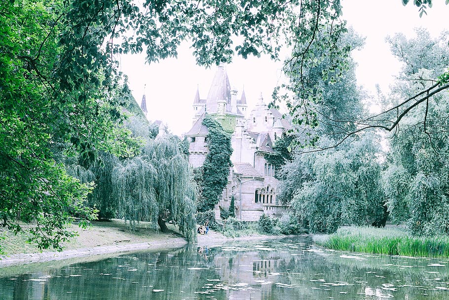architecture, castle, building, fort, moat, tree, plant, willow HD wallpaper
