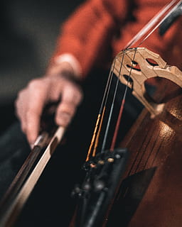 Person Playing Stringed Instrument, acoustic, bowed stringed instrument HD wallpaper