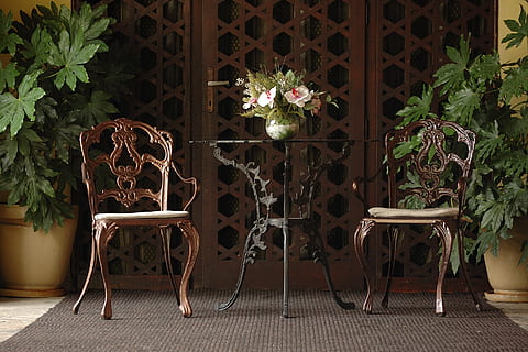 bulgaria, plovdiv, plant, potted plant, chair, seat, nature HD wallpaper