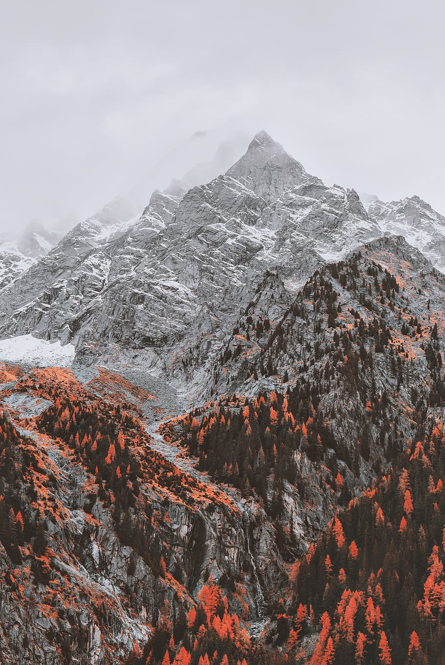 gray mountain under white sky, nature, forest, summit, peak, autumn HD wallpaper