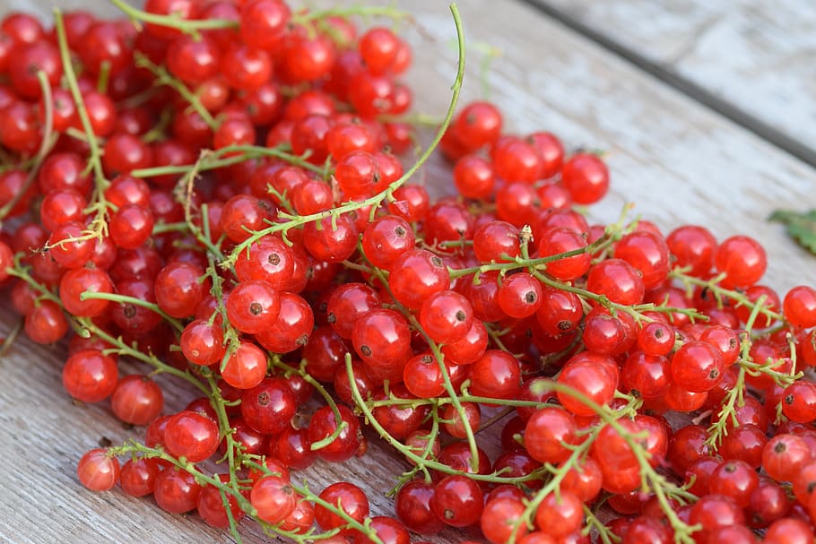 berries, fruit, food, healthy, vitamin, kitchen garden, juicy HD wallpaper