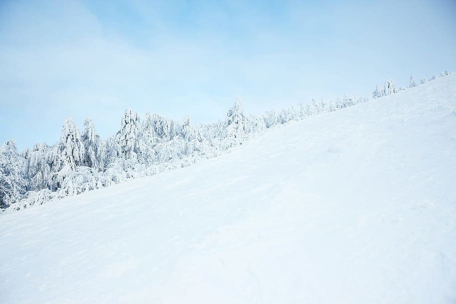 tree, winter, snow, mountain, ski, resort, summit, white, panorama HD wallpaper