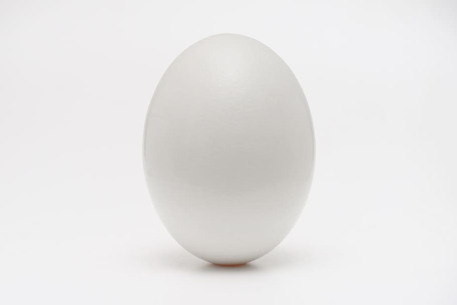 white egg on white surface, single object, studio shot, white color HD wallpaper