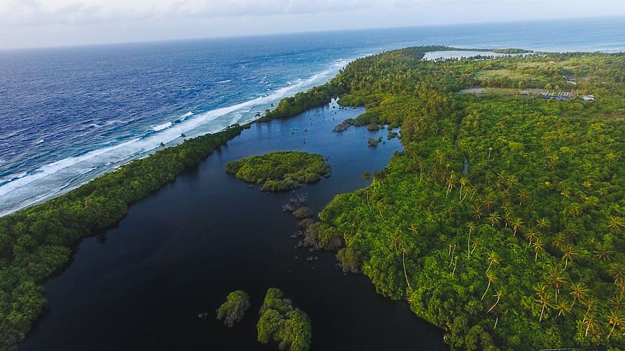 maldives, addu city, arial, drone view, tree, water, sea, scenics - nature
