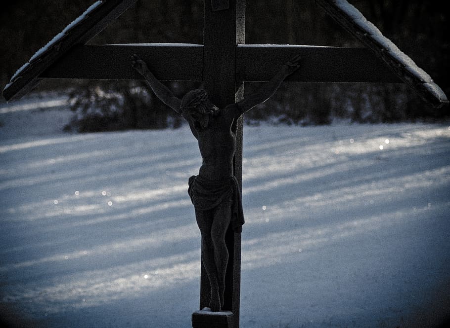 symbol, cross, crucifix, human, person, sculpture, art, plant HD wallpaper