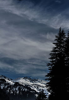 Silhouette Of Pine Tree, cold, Himachal, india, landscape, manali HD wallpaper