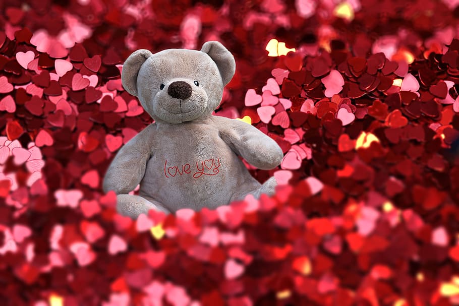 red hearts, valentine, love, mensaje, feeling, teddy bear, stuffed toy, HD wallpaper