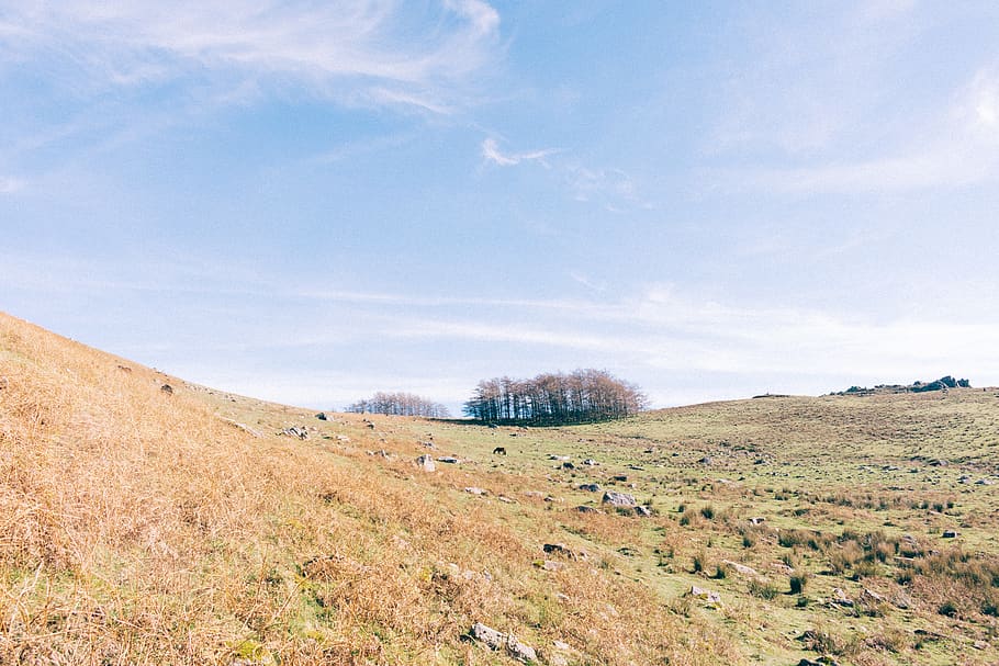 landscape, sky, plant, environment, scenics - nature, cloud - sky HD wallpaper