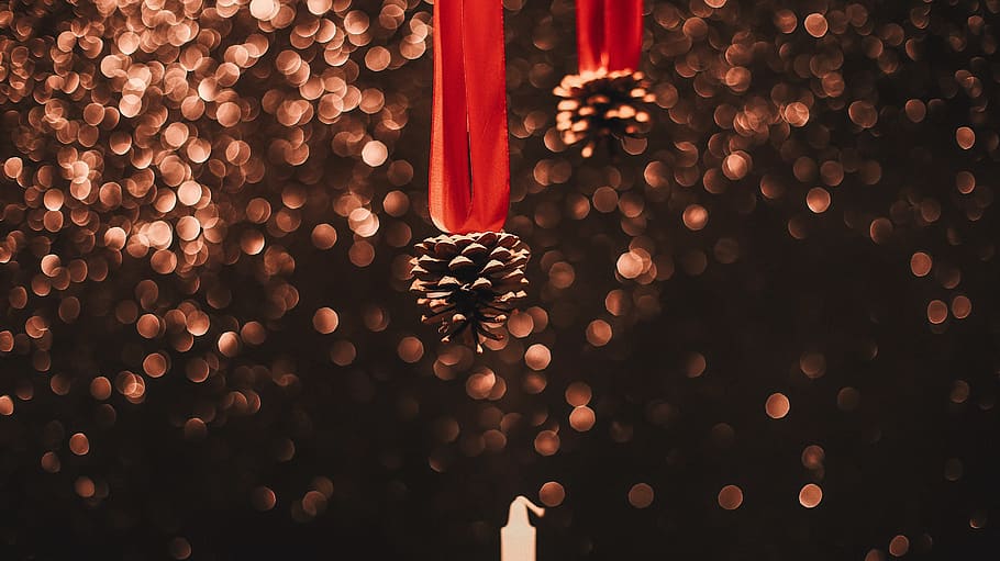 brown pine cones, fire, flame, lighting, candle, tree, plant HD wallpaper