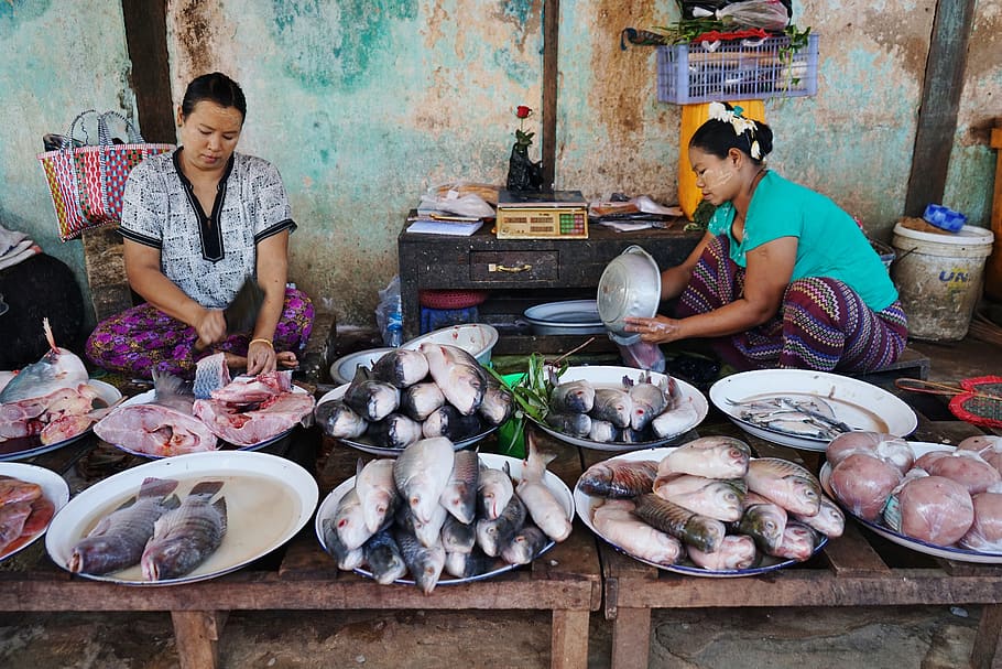 bagan, myanmar, market, fish, travel, tourism, bazar, local HD wallpaper
