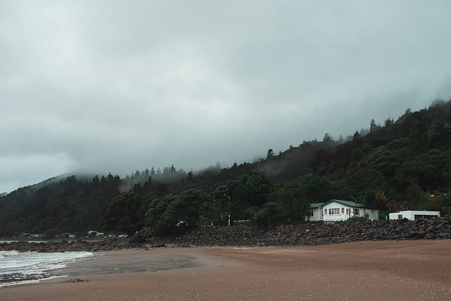 seashore during daytime, nature, slope, shoreline, water, ocean HD wallpaper