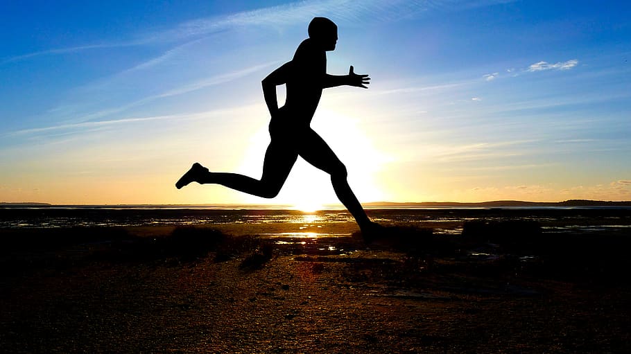 sunset, sport, jogging, silhouette, nature, the activity, sports, HD wallpaper