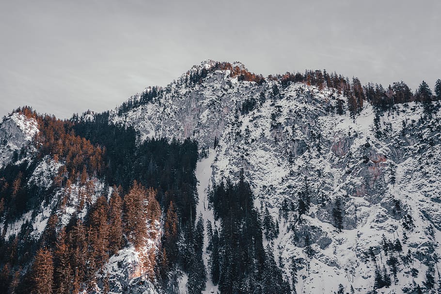 Landscape Photography of Mountain Cover by Snow, cold, daylight HD wallpaper