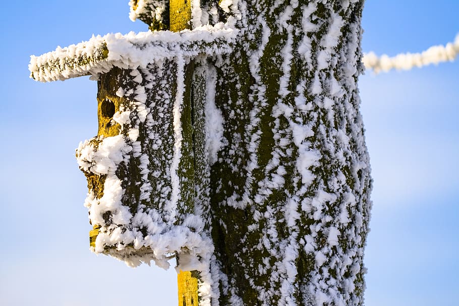 aviary, winter, cold, winter mood, hoarfrost, bird feeder, residential structure HD wallpaper