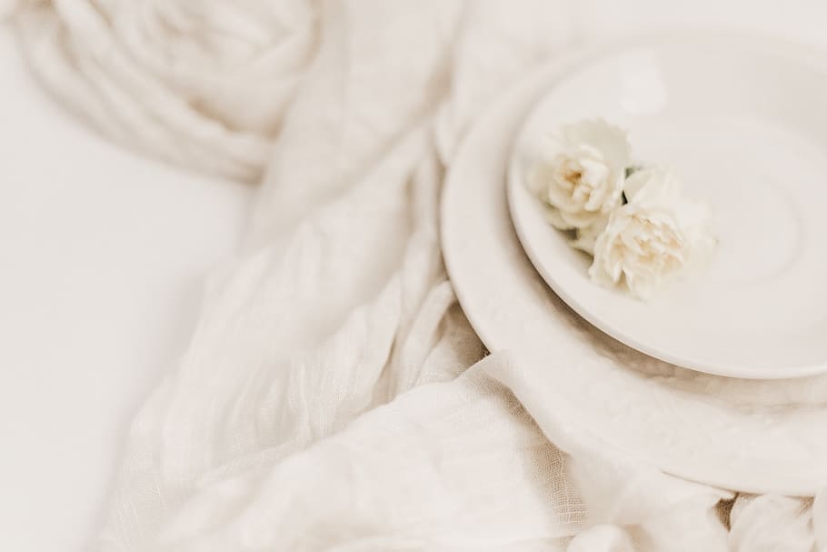 round white ceramic plate, white color, flower, indoors, plant HD wallpaper