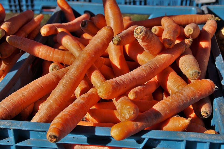 carrots, fresh, root, vegetables, bio, vegetarian, sale, farmer's market HD wallpaper