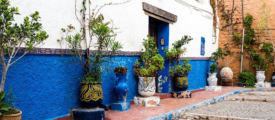 morocco, rabat, blue, marokko, plants, door, built structure, HD wallpaper