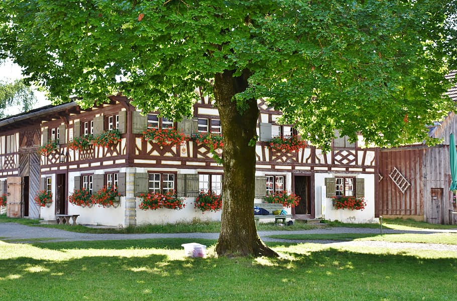 Tree Near White and Brown 2 Storey House, architecture, building HD wallpaper