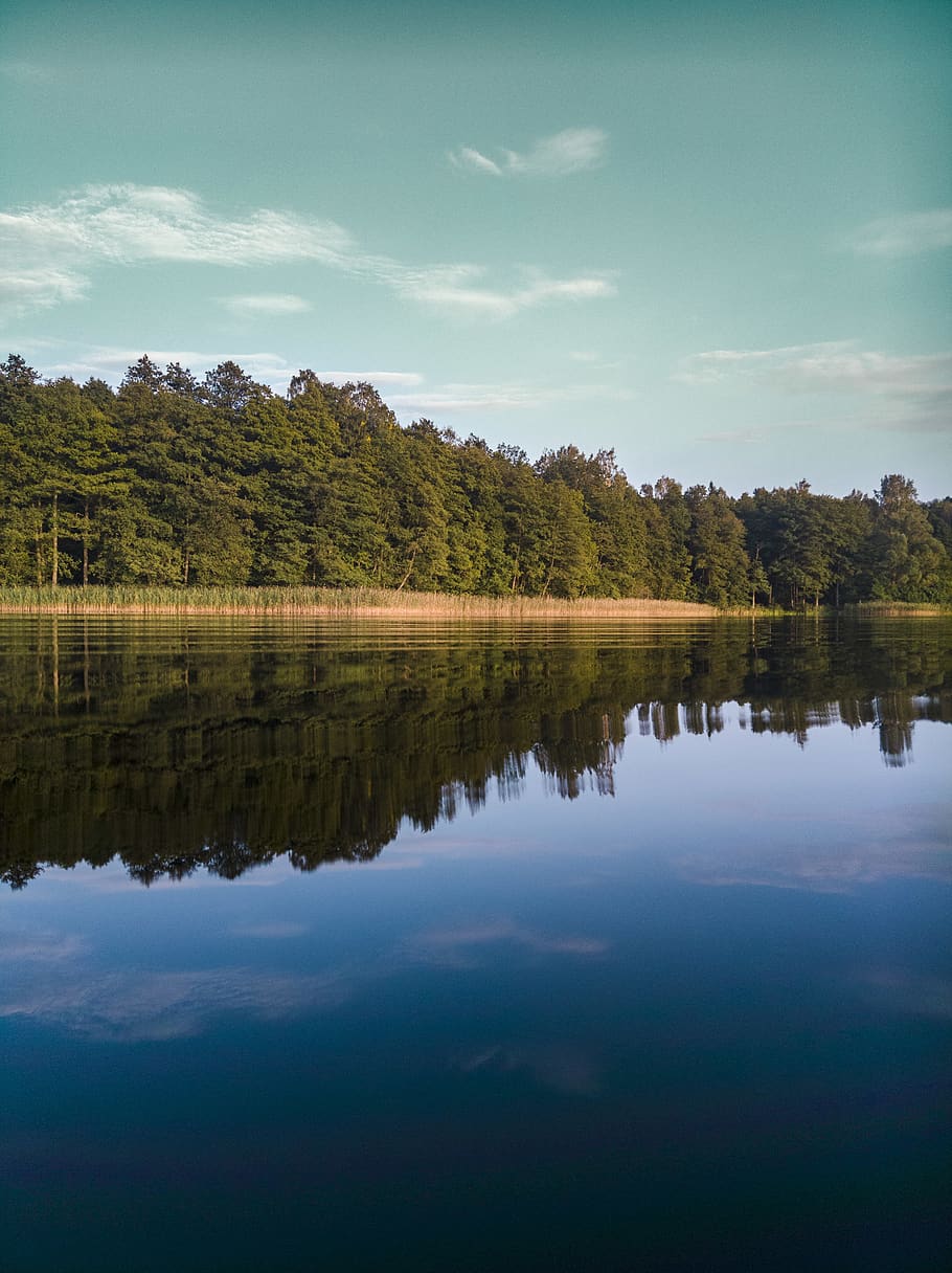 Forest And Calm Water, nature, reflection, scenic, sky, trees HD wallpaper
