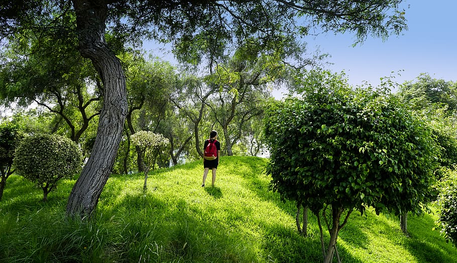 peru, santiago de surco, summer, travel, girl, trees, lost